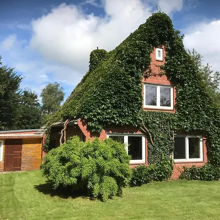 Ferienhaus Gerda アパート
